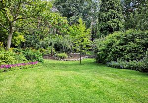 Optimiser l'expérience du jardin à Theil-sur-Vanne